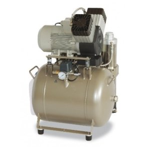 EKOM DK50 2V 50/M Oliefri trykluft kompressor med trre